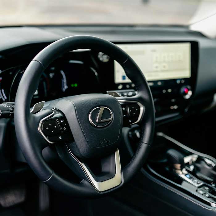 Land Cruiser steering wheel.